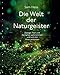 Die Welt der Naturgeister: Zwerge, Feen und Nymphen wahrnehmen und sich mit ihnen verbinden