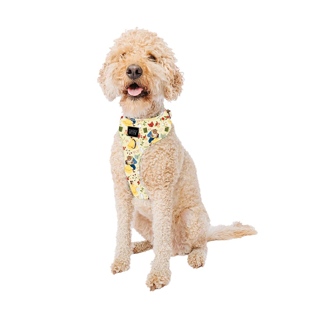 Amazon.com : Sassy Woof Dog Adjustable Harness - Disney