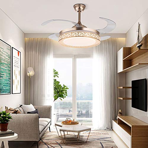 Tfcfl HG-HCX-2060-JHIN 42Inch Gold Retractable Ceiling Fan With Bird'S Nest Lamp Shade thumb #1