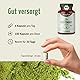 Gerstengras Kapseln Bio 180 Stück | 3000mg je Tagesdosis | fein gemahlenes Gerstengras im Kapsel-Format | aus kontrolliert biologischem Anbau | ohne Zusätze | vegane Kapselhülle | vom Achterhof