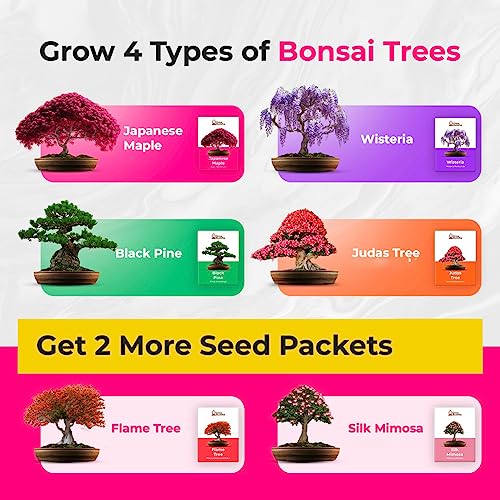 Grow Your Own Bonsai Tree Kit | Easily Grow 4 Types Of Bonsai Tree With Our Complete Beginner Friendly Bonsai Starter Kit | Bonzai Tree | Christmas Gift Set For Plant Lovers (Bonsai Kit) #TOP1