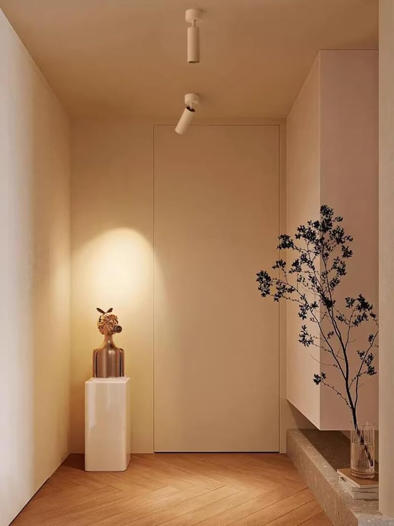 Pack of 2 Surface Mount 7W LED Ceiling Artistic Project Light Fixture Adjustable Spotlight Picture Artwork Wall Wash Hotel Warm White