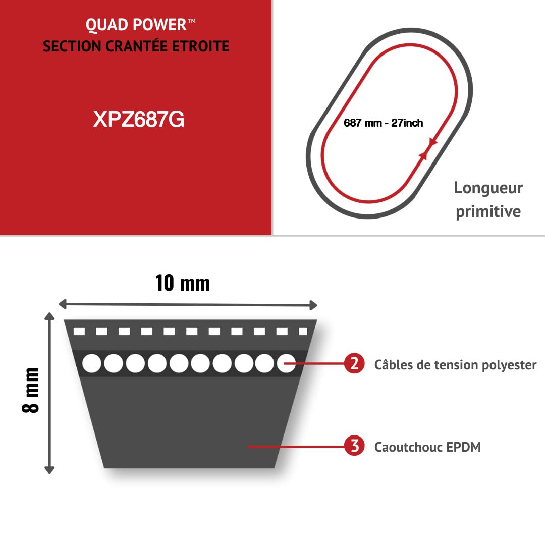 Cinghia Trapezoidale Gates Quad Power 4 – Profilo XPZ 787 Li, 800 La, EPDM, Senza Manutenzione, ATEX - 3