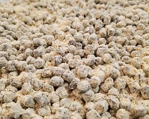 Keto-Correction - High Fat, High Protein Pet Food Supplement - 40 oz. Canister