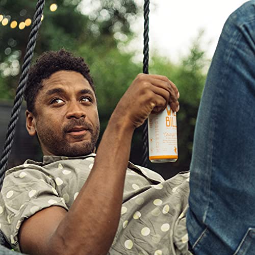 Wild Bill's Orange Cream Soda Classic Craft Soda Pop Soft Drinks, Creamsicle Sodas Made With Pure Cane Sugar, Caffeine Free, No High Fructose Corn Syrup, Gluten Free, Vegan, Low Sodium, 12 Oz 12 Pack… #TOP6