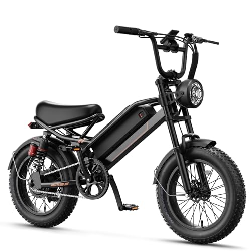 Jasion YR16 Electric Bike for Adults Teens, 1000W Peak Motor & 48V 12.5AH Battery Electric Bicycle, 16" Fat Tire Dirt Bike with Dual Suspension & Cruise Control, 55 Miles EBike Fit Teenagers