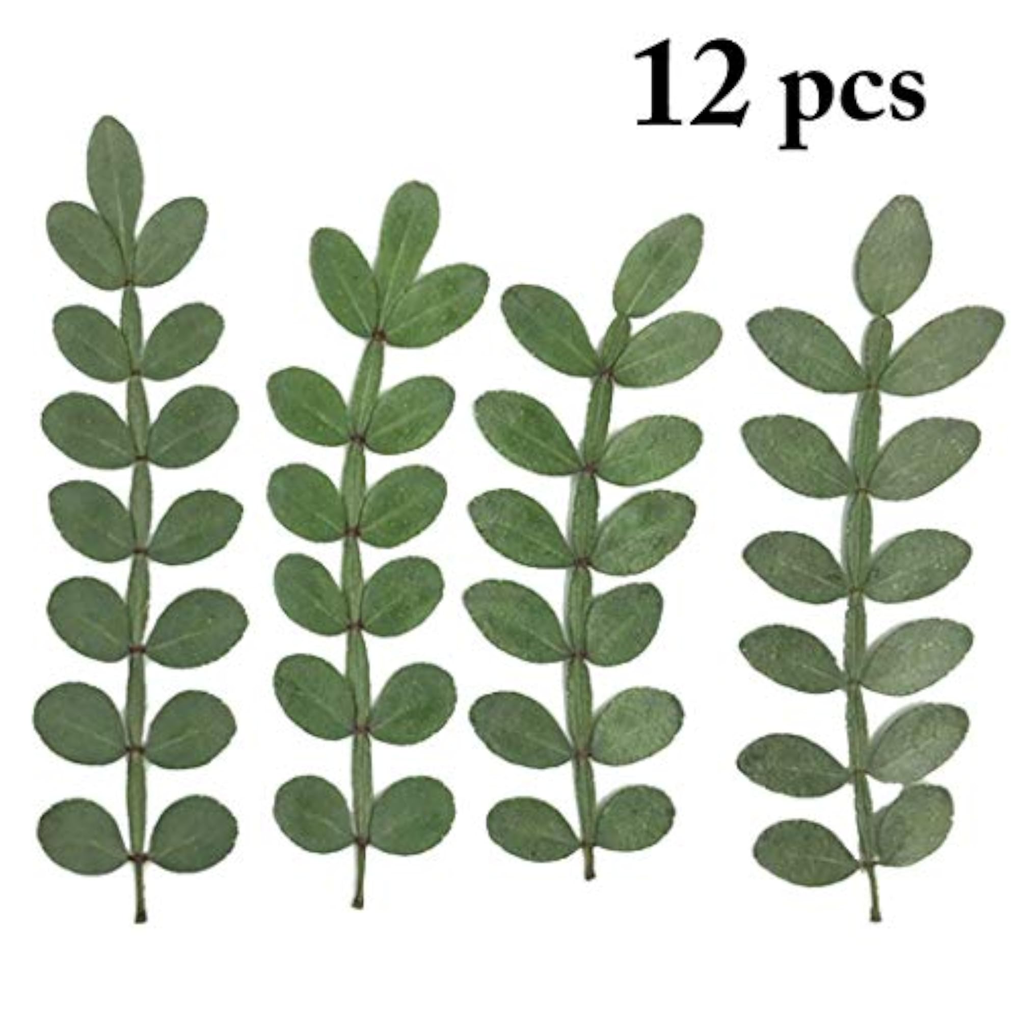 12PCS Dried Leaf Creative Decorative Leaf Pressed Leaf DIY Crafts Material