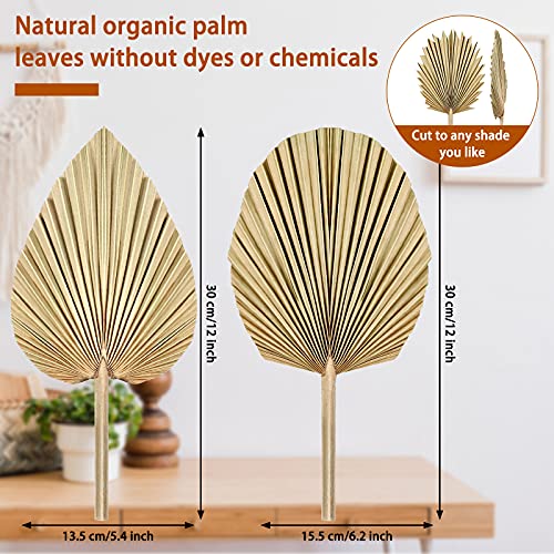 Nuanchu Natural Dried Palm Leaves Real Palm Leaves Decor Boho Palm Fans Tropical Palm Flowers Dried Palm Spears Heart Oval Shape Dried Palm Leaves For Wedding House Party Kitchen Decor (5, Brown) #TOP2