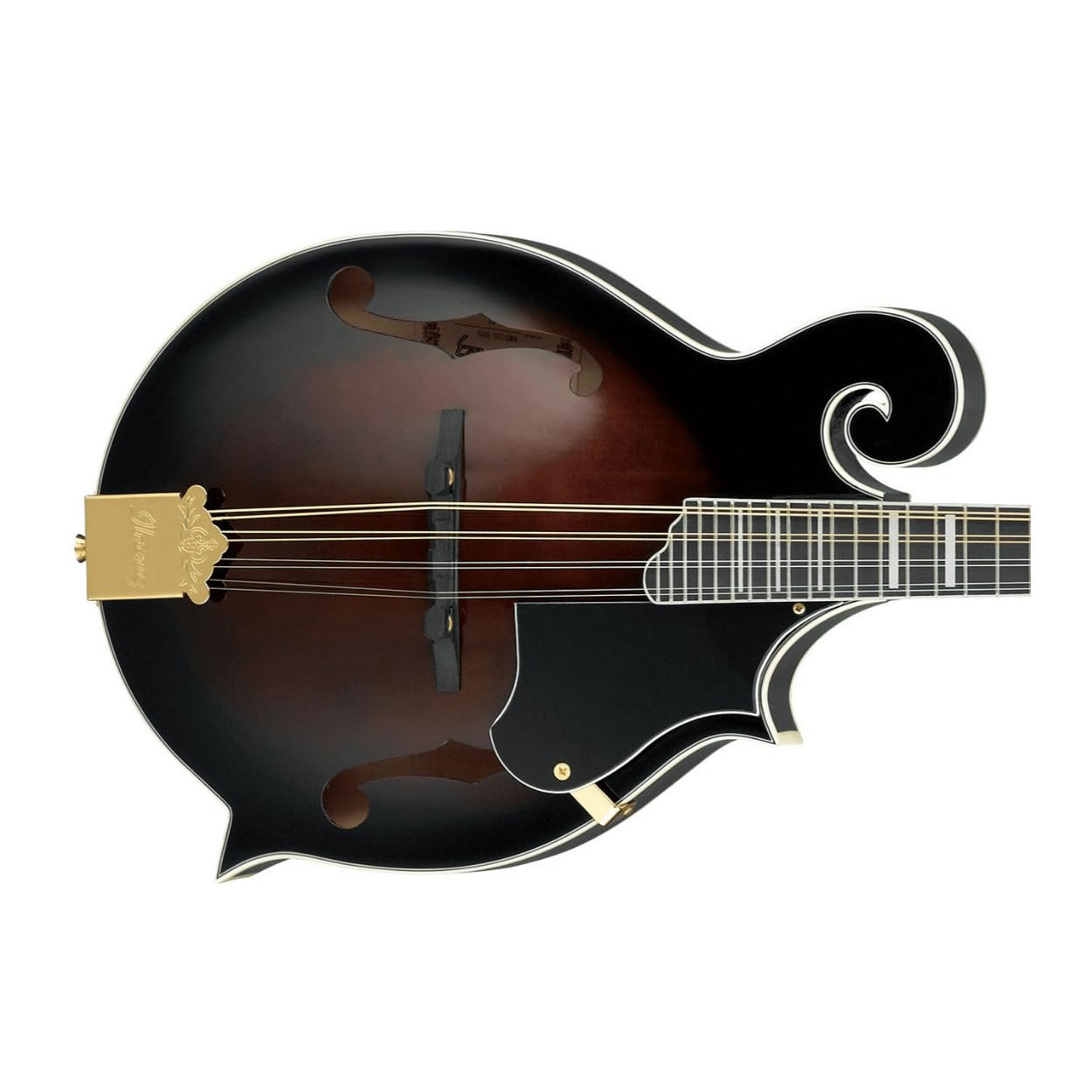 ibanez アイバニーズ マンドリン M510DVS 海外インポート ケース付