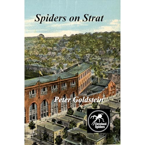 Spiders on Strat by Peter Goldstein episode artwork