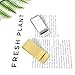 Cretty-Meet 2 PCS Stainless Steel Slim Money Clips Sturdy Cash Receipt Note Clip Credit Card Wallet Bill Holders for Men and Women - Silver and Gold