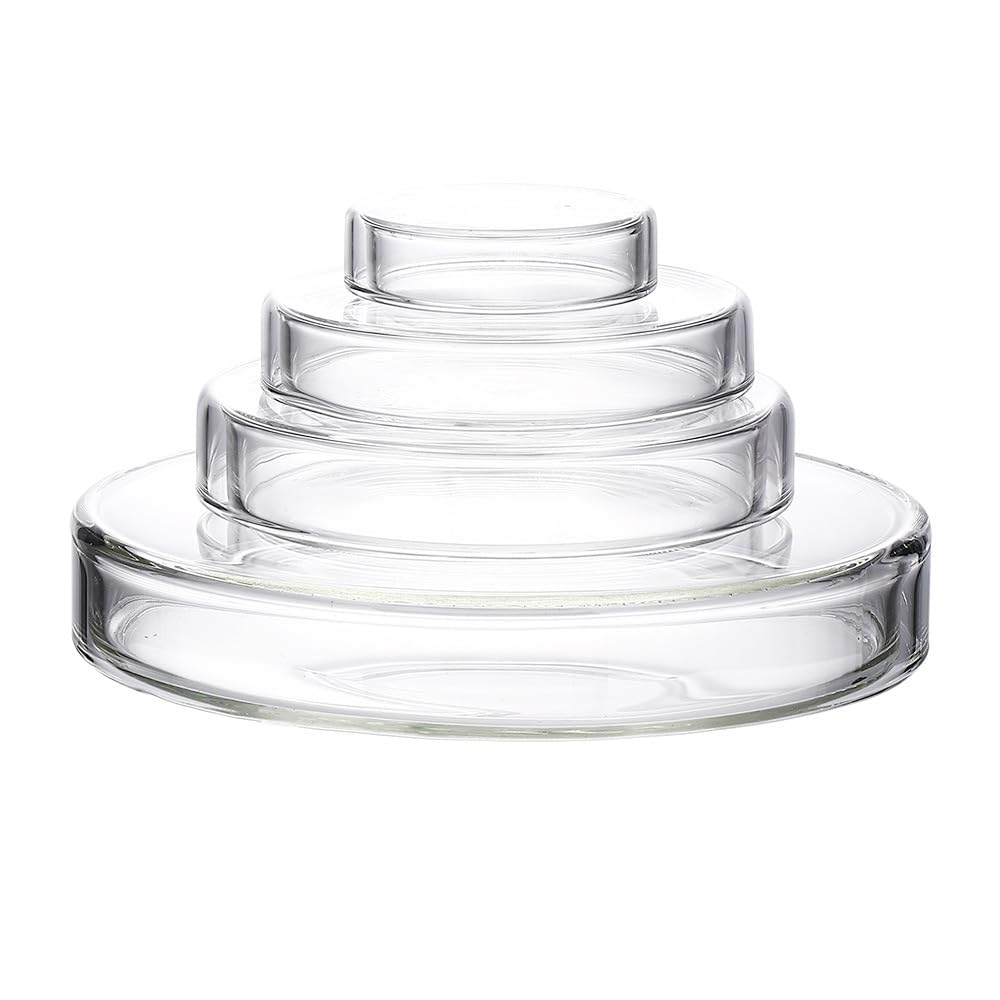 Placas de Petri de Vidrio Juego de 3, Placas de Cultivo de Vidrio Borosilicato 60–150mm para Laboratorio(200mm)