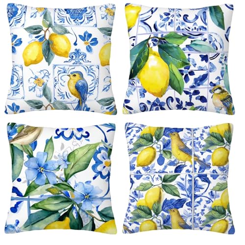 Limón Pájaro Fundas de Cojines Decorativas Cuadradas de Terciopelo, 55x55cm con Cremallera Oculta para Sofá, Oficina, Silla, Dormitorio, Jardín, Exterior Decoración del Hogar, Juego de 4. H-116