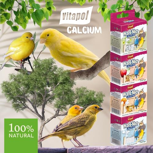 Vitapol Wapienko Bird Calcium Block – Natural Supplement for Beak Health & Eggshell Strength – Twin Pack – Hanging Mineral Block for Parrots, Budgies & Small Birds (2x, Apple, 35g) - Image 4