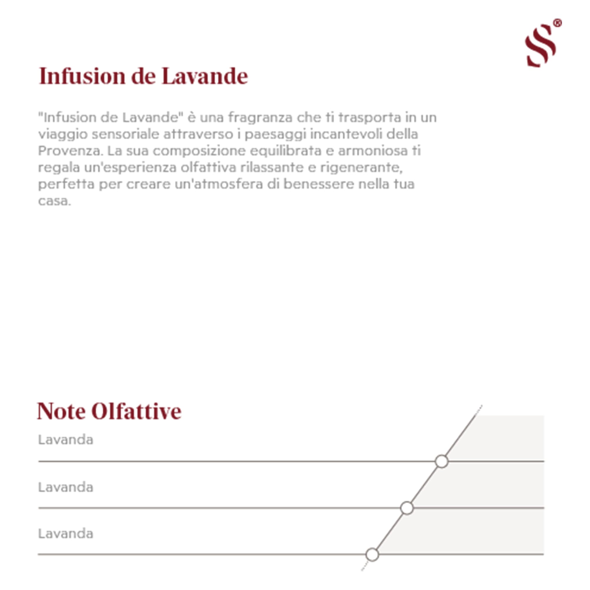 Ricarica per diffusori a freddo fragranza essenza aromatica Infusion De Lavande, profumo ambiente con oli essenziali naturali di Lavanda, 500 ml