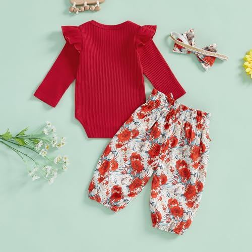 Mubineo Baby Girl Clothes Cute Outfits Ruffle Romper Flower Tops Pant Set Infant Long Sleeve Fall Winter Newborn Outfit3