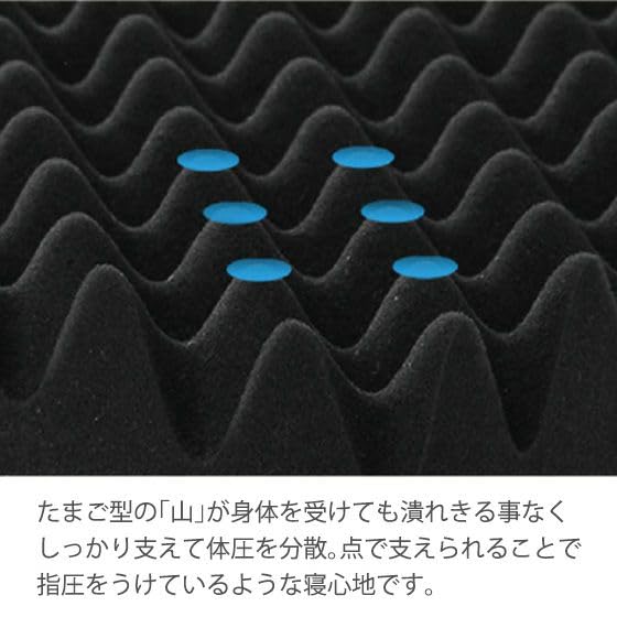 Amazon.co.jp: リコメン堂 ベッドマットレス兼用極厚敷布団 シングル