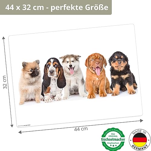 Tischset | Platzset abwaschbar – 5 süße Hundewelpen – 44 x 32 cm – aus hochwertigem Vinyl