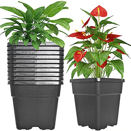 Pots pépinière carrés 3 gallon plastique moulé 10 unités