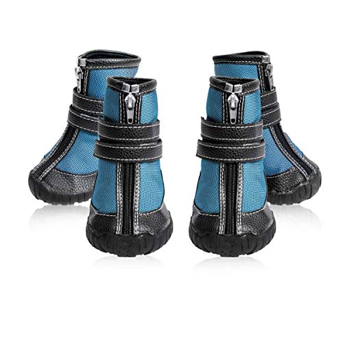 10 Best Winter Dog Walking Boots in 2023 (December update)