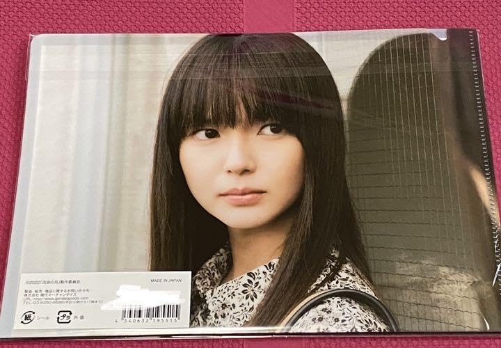 Amazon.co.jp: 流浪の月 多部未華子 ミニクリアファイル : おもちゃ