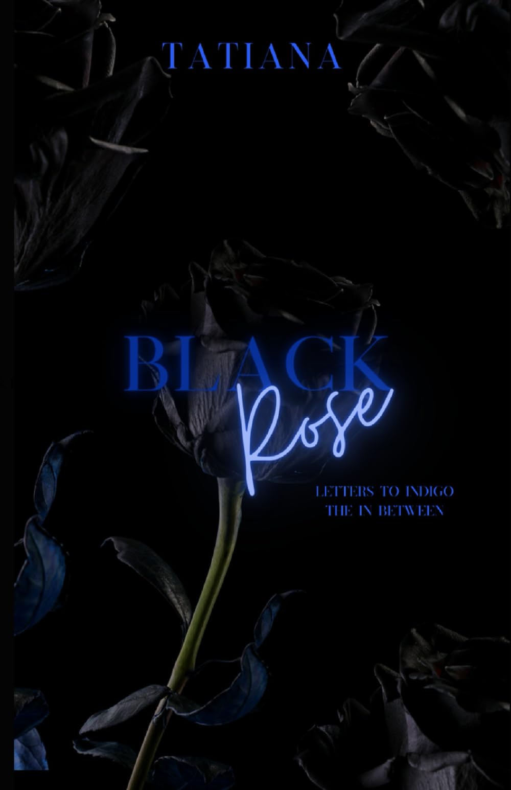 Black Rose: Letters to Indigo : A Novelette (Parkside Cove Series)