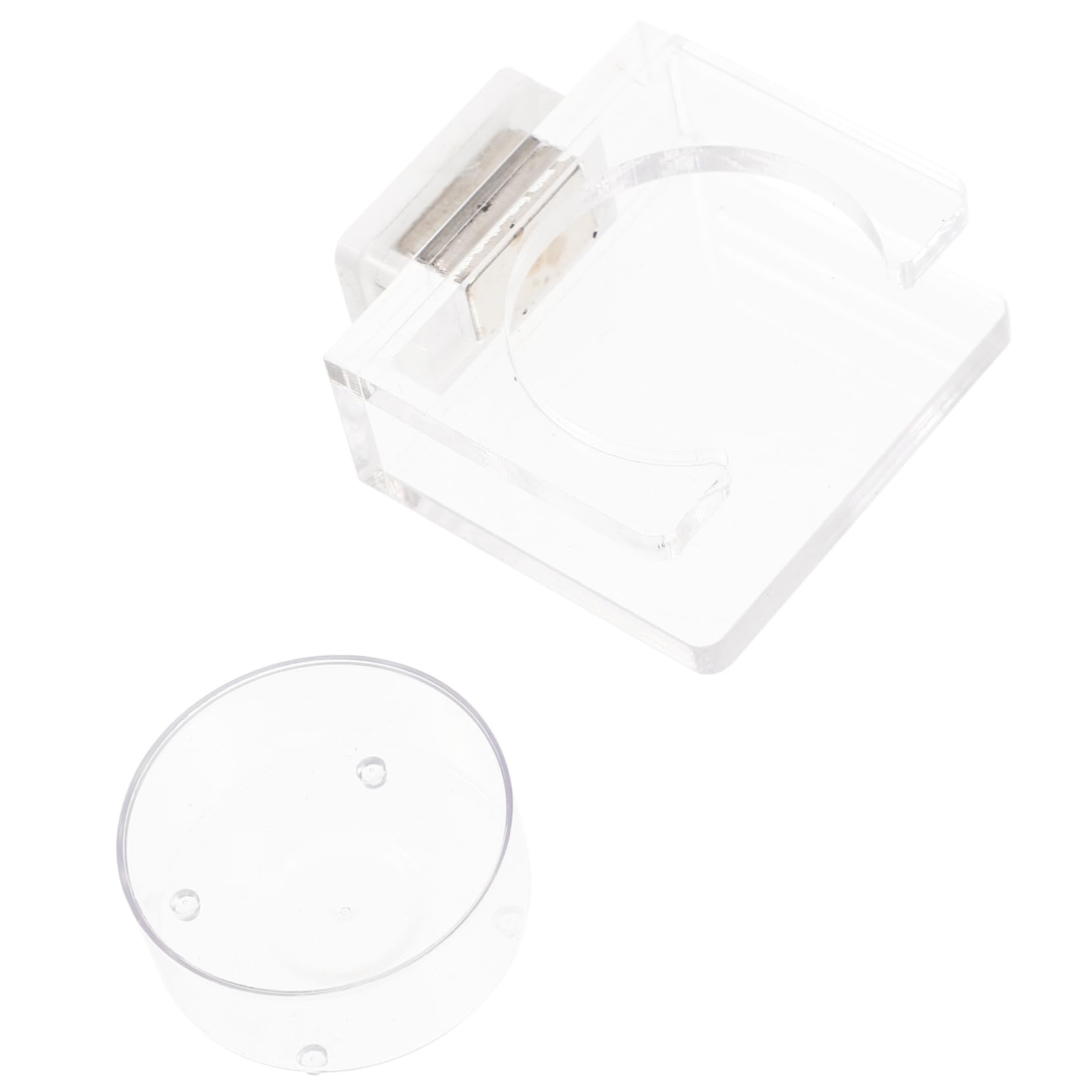 BESPORTBLE 4pezzi Ciotola per Rettili Mangiatoia per Lucertole e Insetti Accessorio per per Design Arrotondato