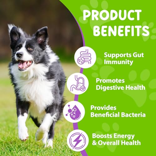 Probiotika Hund - Liefert Nützliche Bakterien | Probiotika Hunde Darmflora | Präbiotika Hund Aufrechterhaltung der Darmimmunität | hunds probiotika Unterstützt die Verdauungsgesundheit -0.2 FL.oz