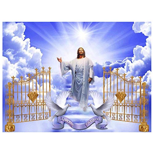 BETTER SELECTION Religious Jesus Divine Light Full Drill Diamond Art 5D DIY Diamond Embroidery Crystal Rhinestone Cross Mosaic Paintings Arts Craft for Home Wall Decor(12x16 Inch/30X40CM)