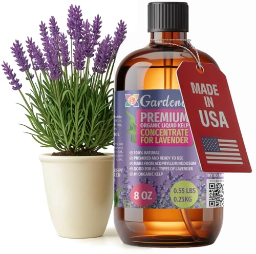 GARDENERA Premium Organic Seaweed & Kelp Superfood for Lavender Plants