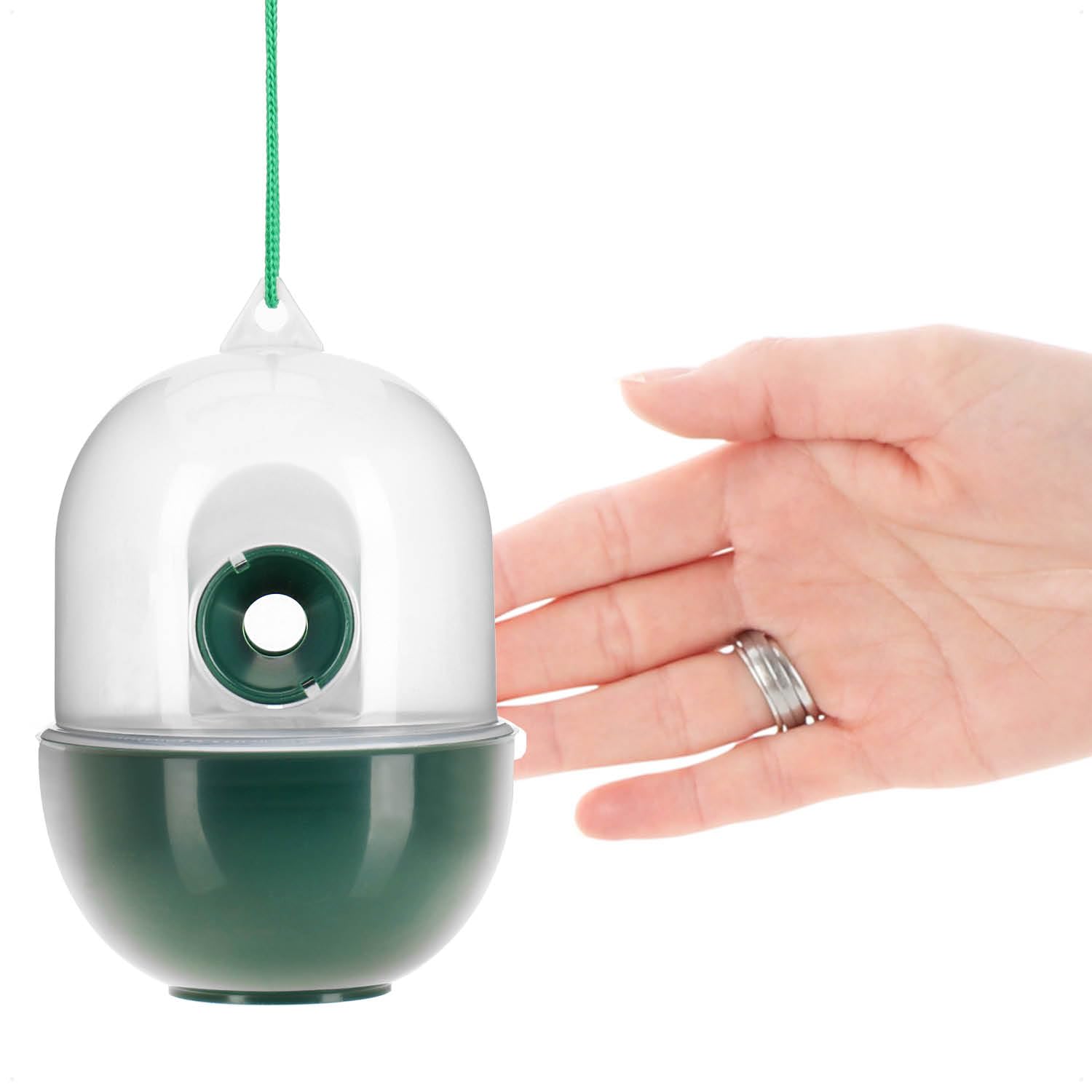 COM-FOUR® Trampa para Insectos 4X - Trampa Viva para Colgar - Protección contra Insectos para Exteriores respetuosa con los Animales - Atrapa Insectos de plástico (04 Piezas - Transparente 12cm)