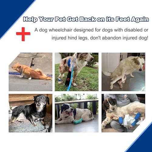 Adjustable Dog Wheelchair for Back Legs| Pet Wheelchairs with Disabled Hind Legs Walking|Stabel & Light Weight | Black(XS) - Thumbnail 7