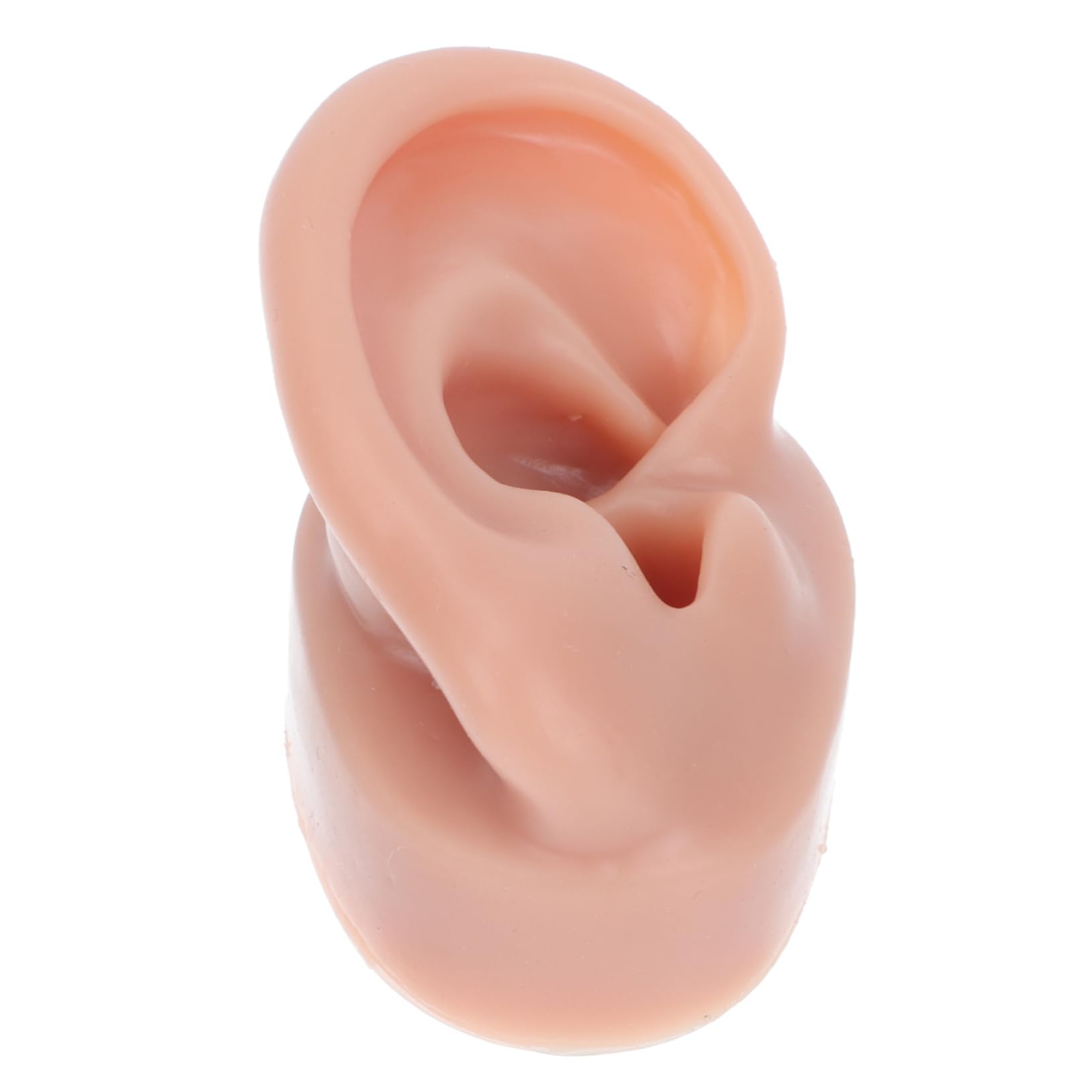HAPINARY Silicone Ear Model for Piercing Reusable Realistic Human Ear Practice Tool