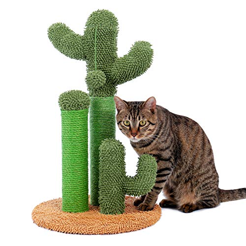 Amazon.ca Best Sellers The most popular items in Cat Scratching Posts