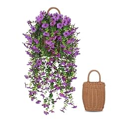 Purple With Basket