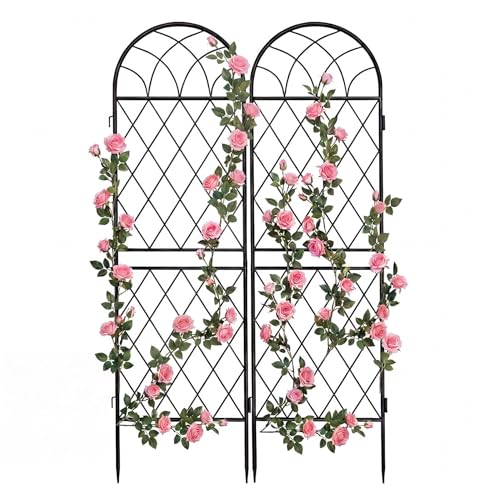 15 Best Trellis For Climbing Roses (Buyers Guide)