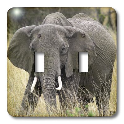 Éléphant africain double interrupteur pour mur élégant - 3