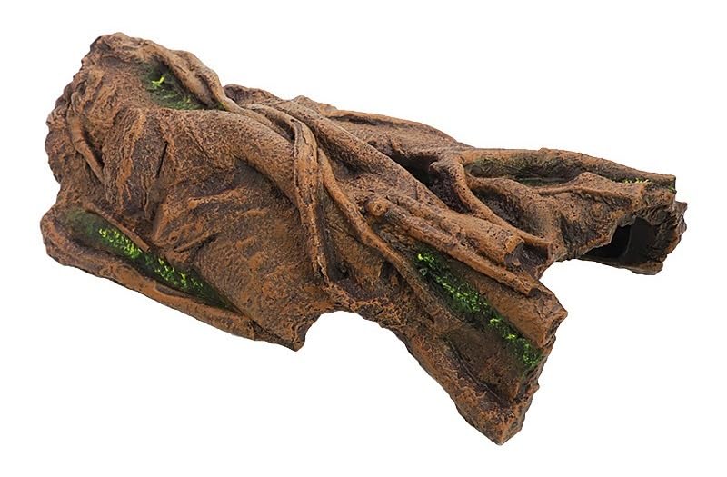 Décor d'angle pour aquarium d'eau douce avec plantes
