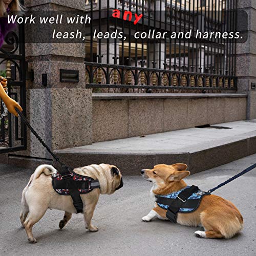 Image of NOYAL 2 Pack 1.7 FT Bungee Dog Leash Heavy Duty Shock Absorbing Extension Leash Improved Dog Safety Suitable for Walking, Running, Bicycling