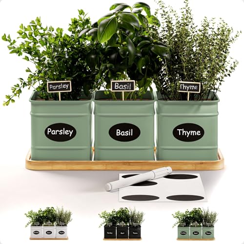 Herb Planter Indoor - 3 Iron Herb Pots with Drainage