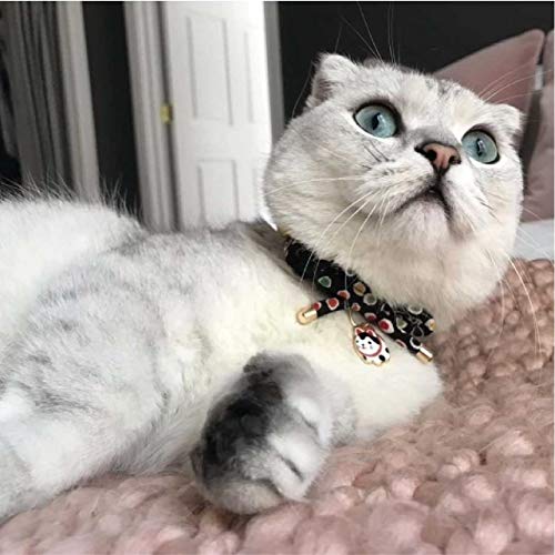Necoichi Zen Hariko Charm Cat Collar (Black) #TOP7