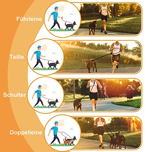 Hundeleine Doppelleine für Kleine Mittelgroße Hunde Führleine 3m Verstellbar mit 2 Karabiner Leine Hund Übungsleine Dog Lead Multifunktionale 3 Meter lang x 1,0 cm Braun