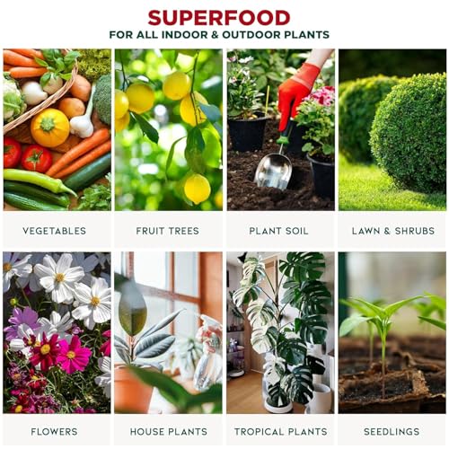 GARDENNOVA Professional Organic Liquid Kelp Spray for Avocado Plants - 8 oz - Ready-to-Use Fully Organic Seaweed & Kelp Fertilizer Mist - Image 7