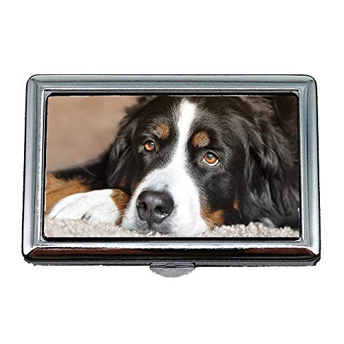 Preisvergleich Produktbild Zigaretten-Aufbewahrungsbehälter / Box, Hundehündin Berner Sennenhund Augen Tier Haustier, Visitenkartenetui Visitenkartenetui Edelstahl