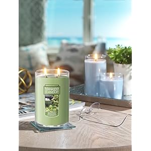 Yankee candle meadow showers scented classic 22oz large tumbler 2 wick candle over 75 hours of burn time  urban country home decor