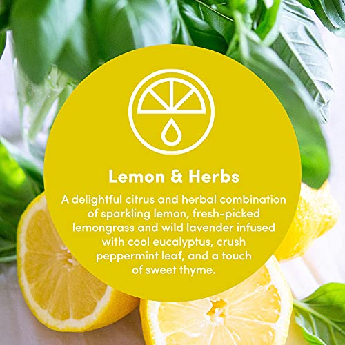 Clean-Revolution-Multi-Surface-Cleaner-Refill-Supply-Non-Toxic-Eco-Friendly-Plant-Based-Ready-to-Use-Lemon-Herbs-128-Fl-Oz-1-Gallon