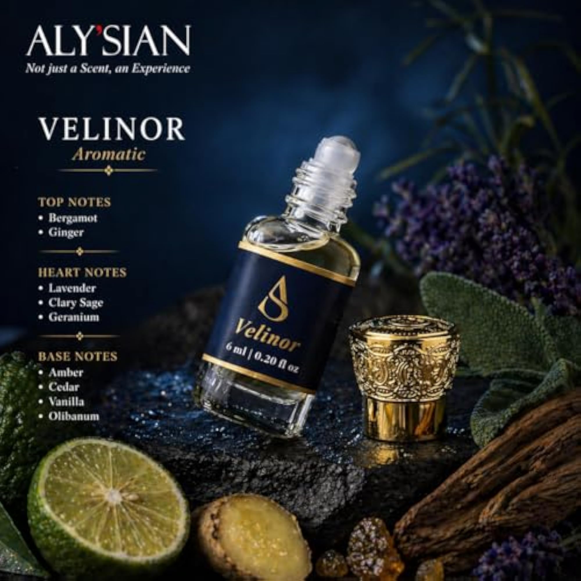 ALY'SIAN Velinor Attar Perfume for 6ML