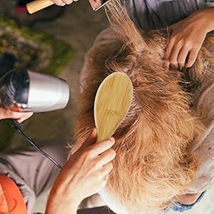 Dog Pin Brush Airbag Wooden Comb Pin Brush- Dog Cat Professional 20mm Stainless Steel Round Pins Grooming Brush with Bamboo Handle, Airbag comb No scratching Any Hairs Type Dog or Pets(1Pc)