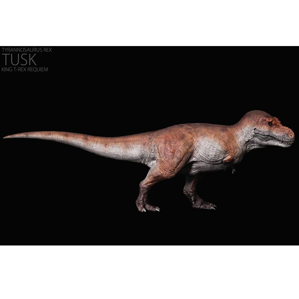 REBOR KING T-REX 1/35 スケール Rebor Tyrannosaurus rex (KING T-REX) Dinosaur Model