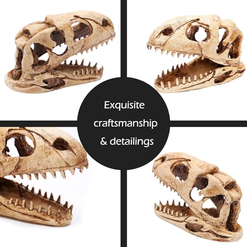 Image of Dinosaur Animal Skull Aquarium Large Decor Cave Decorations Fish Hideout Tank Betta Tarantula Reptile Snake for Terrarium Decor Ornament Bones Halloween